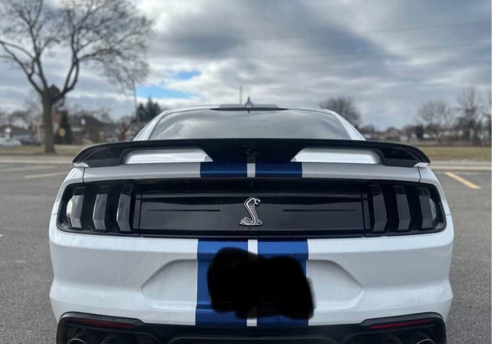 IMG_20260407_181840_687