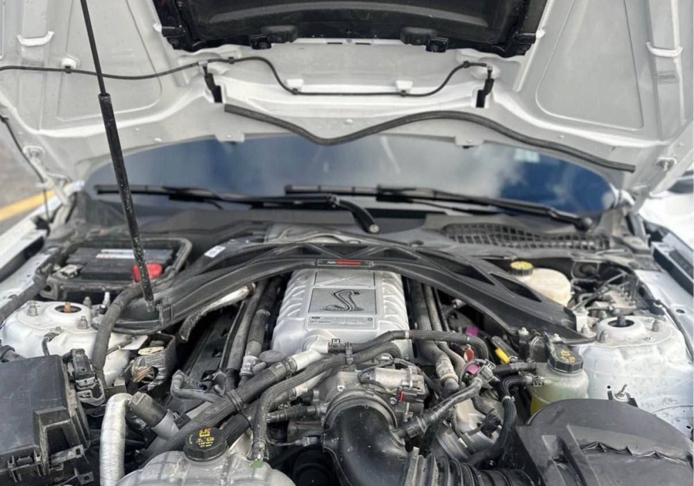 IMG_20260407_181841_052