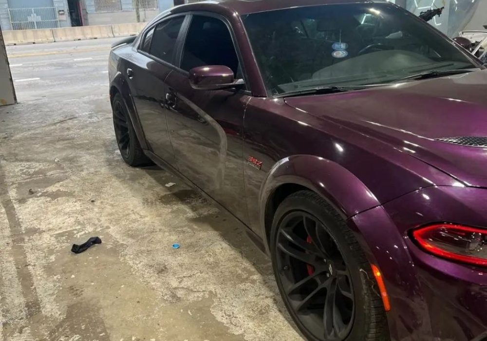 IMG_20260407_183627_444