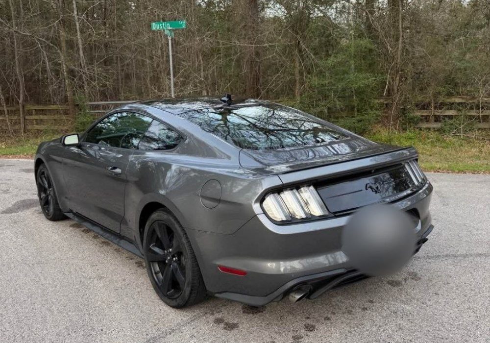 IMG_20260407_193003_012