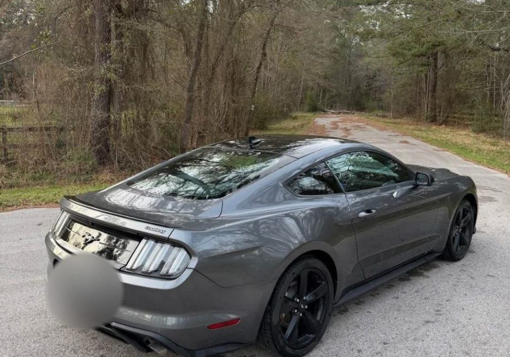 IMG_20260407_193003_198